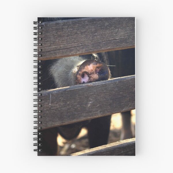 Item preview, Pig designed and sold by Tamara  Kenneally.