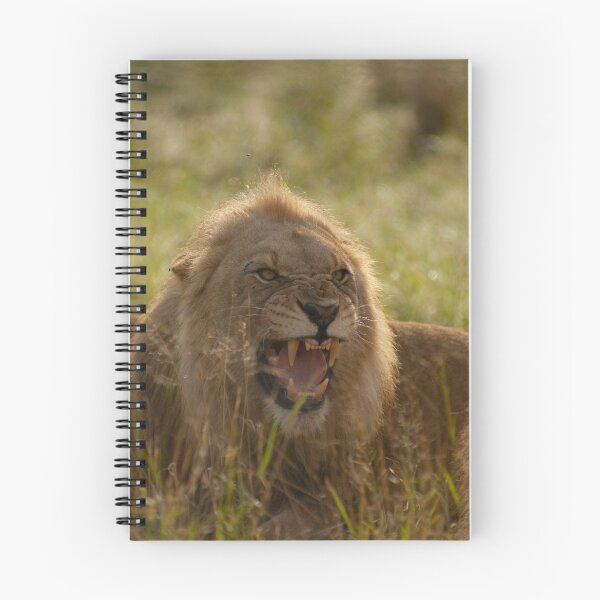 Item preview, Young King designed and sold by Leon Rossouw.