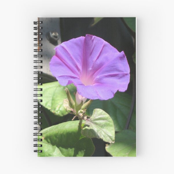 Item preview, Violet designed and sold by CassPics.
