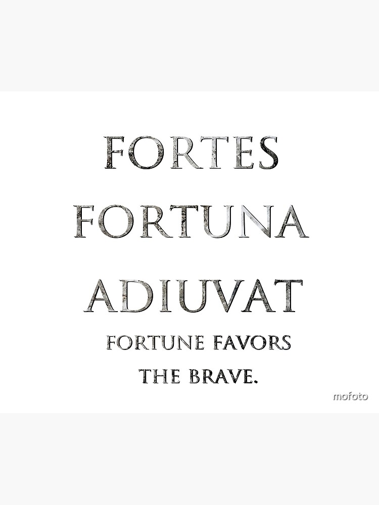 Meaning fortis fortuna adiuvat What Does