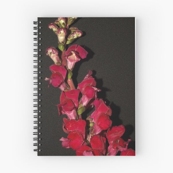 Item preview, Sweet Snapdragon designed and sold by Sharon McRae.