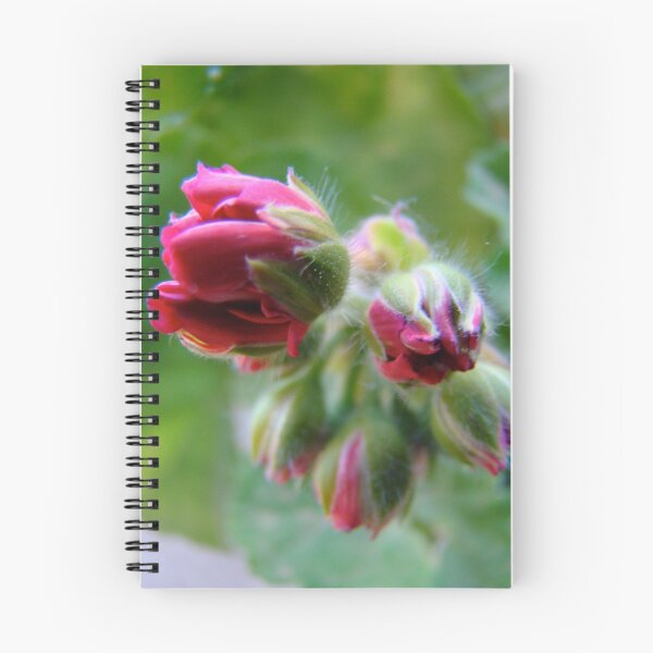 Item preview, geranium emerging designed and sold by Jan Stead JEMproductions.