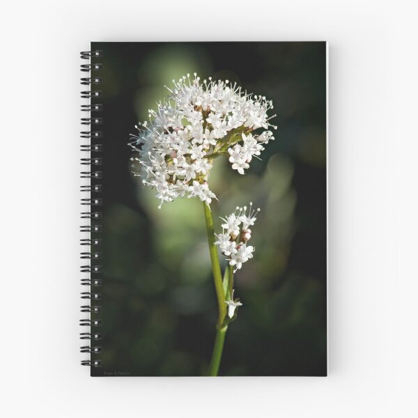 Item preview, Stika Valerina designed and sold by Buzzimage.