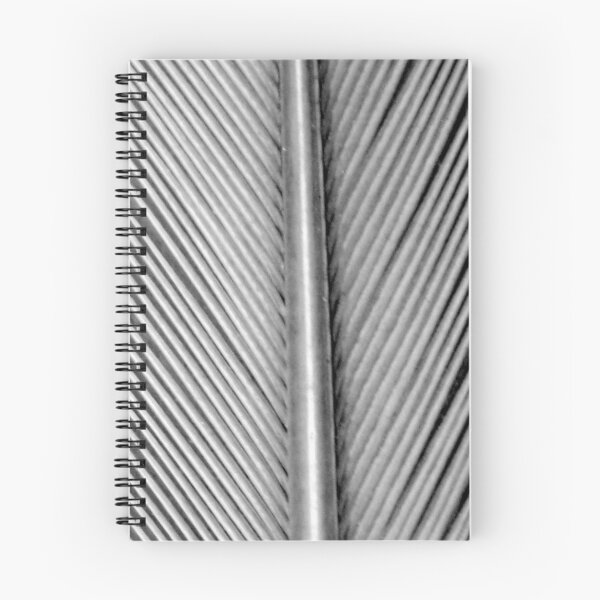 Aperçu de l'œuvre Silver Feather Lines :) créée et vendue par Honor Kyne.
