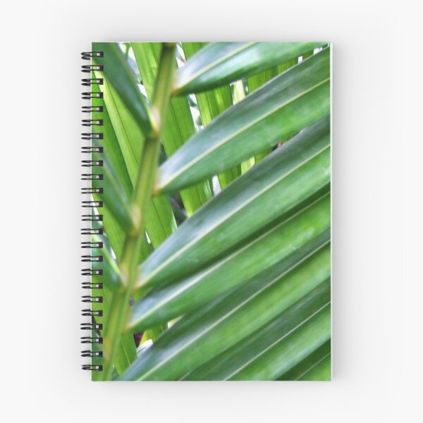 Item preview, Fronds designed and sold by PixPlanet.