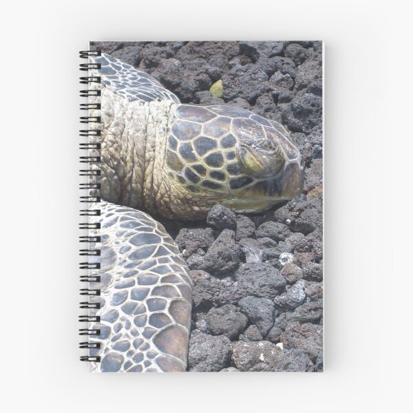 Item preview, Tortuga marina designed and sold by Shaina Haynes.