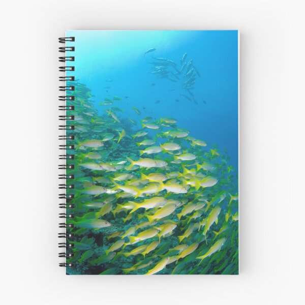 Item preview, Schooling designed and sold by Stephen Colquitt.