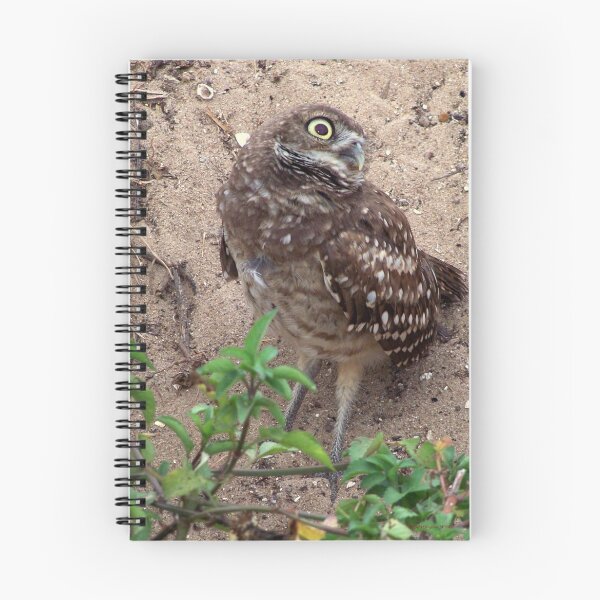 Item preview, Burrowing Owl  #12 designed and sold by Virginia N. Fred.