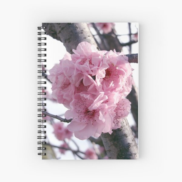 Pink Promise Spiral Notebook