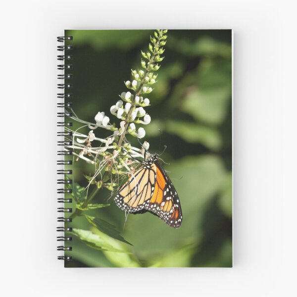 Item preview, Monarch Butterfly designed and sold by margotk.