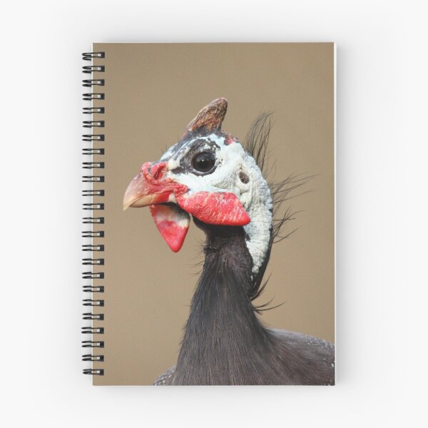 Item preview, Guineafowl designed and sold by margotk.