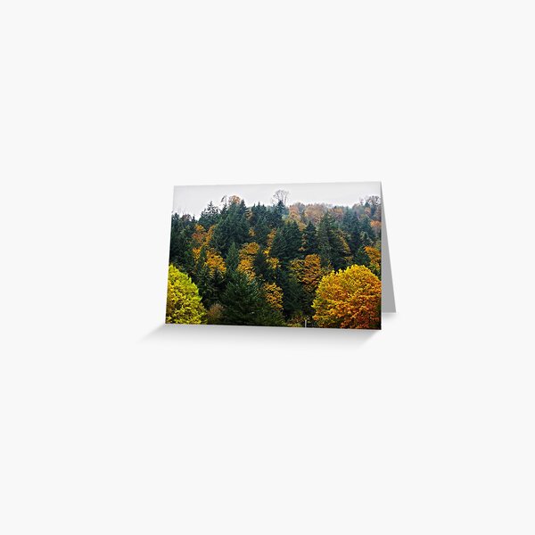 Oregon Trees Greeting Card