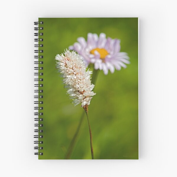 Item preview, Bottle Brush and Mountain Daisy designed and sold by Buzzimage.