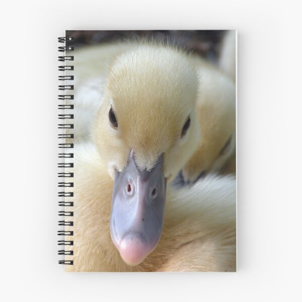Item preview, You Quack Me Up designed and sold by MellyV.