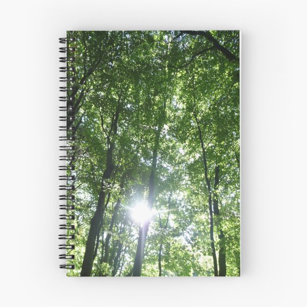 Item preview, Morning Sun through the trees designed and sold by Aoife Mc Nulty.