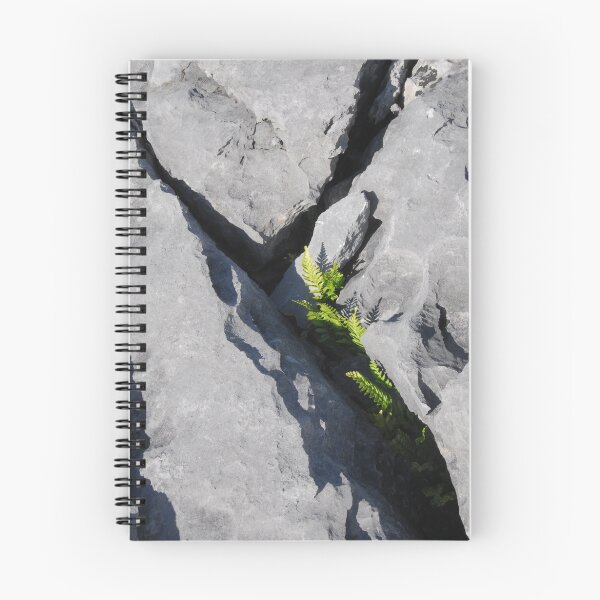 Item preview, Ferns in the Burren, Ireland designed and sold by Janet Houlihan.
