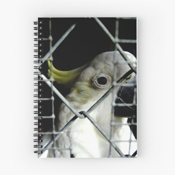 Item preview, Prison designed and sold by Tamara  Kenneally.