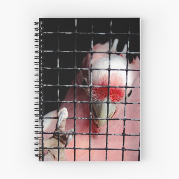 Item preview, For Life designed and sold by Tamara  Kenneally.