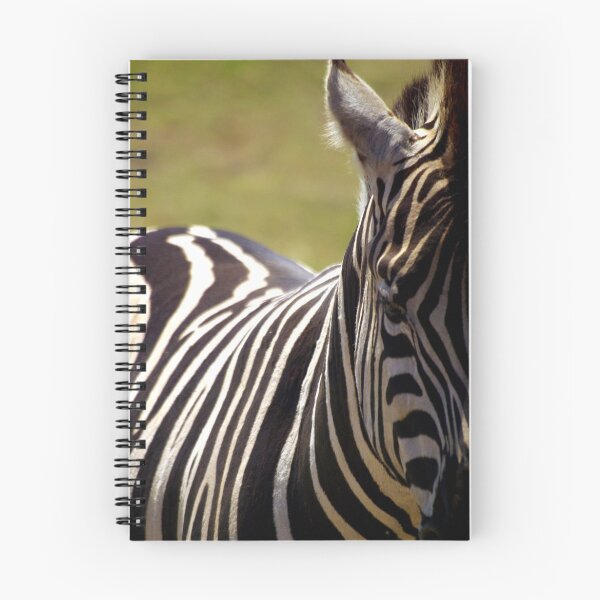 Item preview, Zebra designed and sold by Tamara  Kenneally.