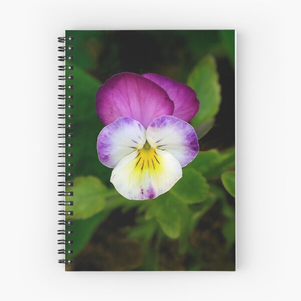 Item preview, Viola designed and sold by Macky.