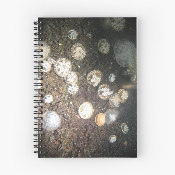 Item preview, Jellyfish designed and sold by atkinnt.