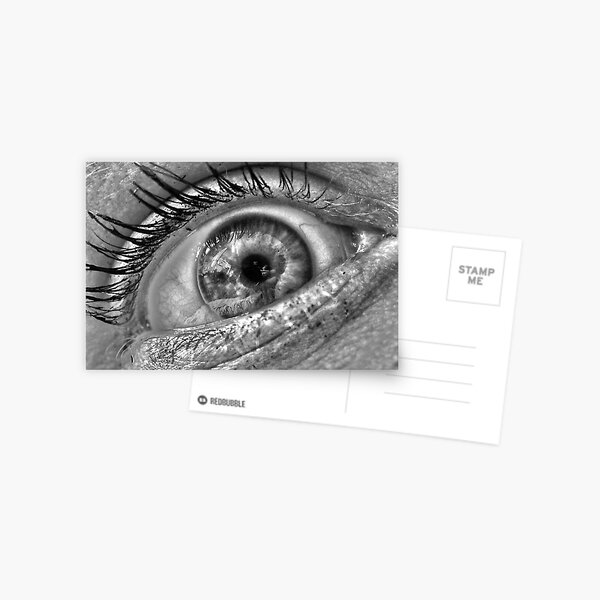 The Eye Shot Revised Postcard