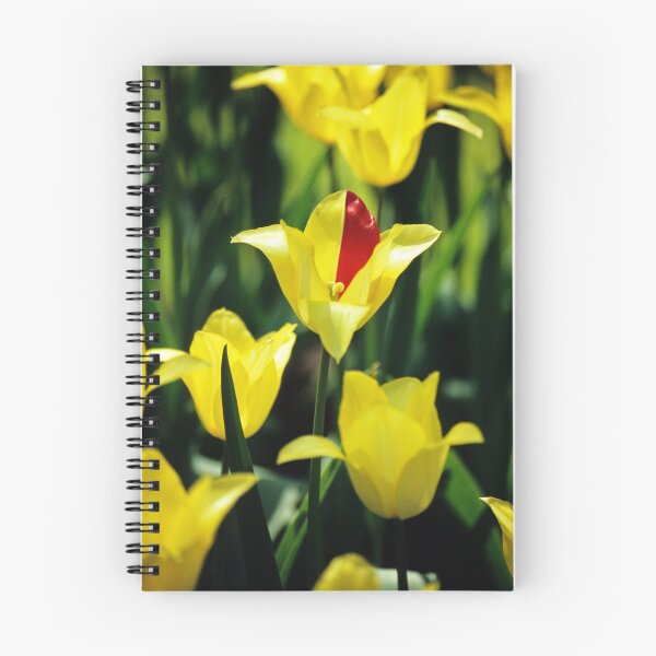 Item preview, Dare to be Different designed and sold by Alison Cornford-Matheson.