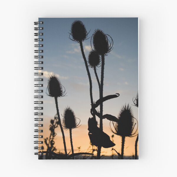 Item preview, teasel designed and sold by Karen Millard.