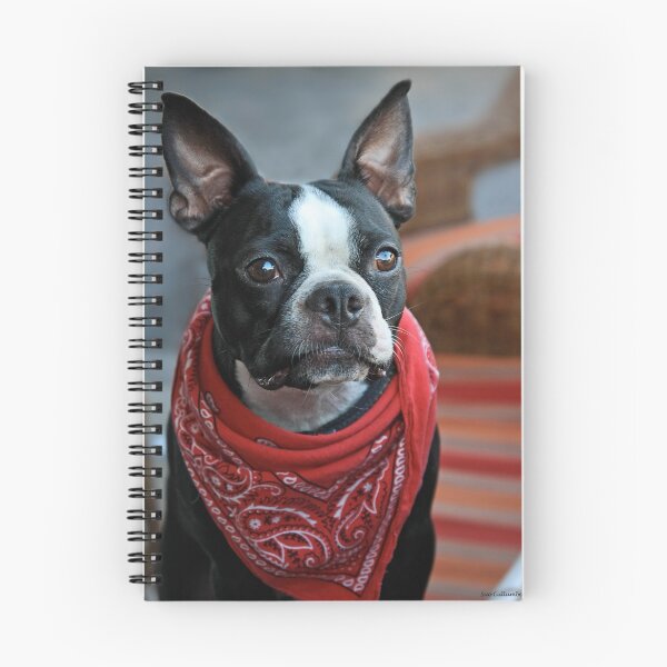 Item preview, Perro Bandito designed and sold by Sue  Cullumber.