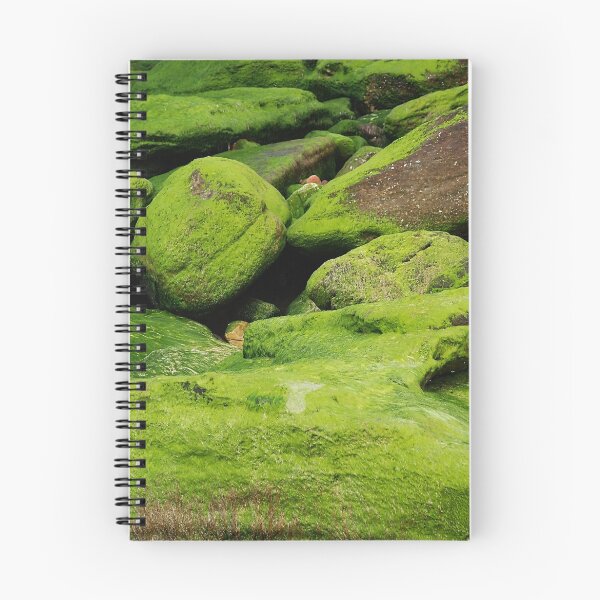 Item preview, Rocks & moss IV designed and sold by andreisky.