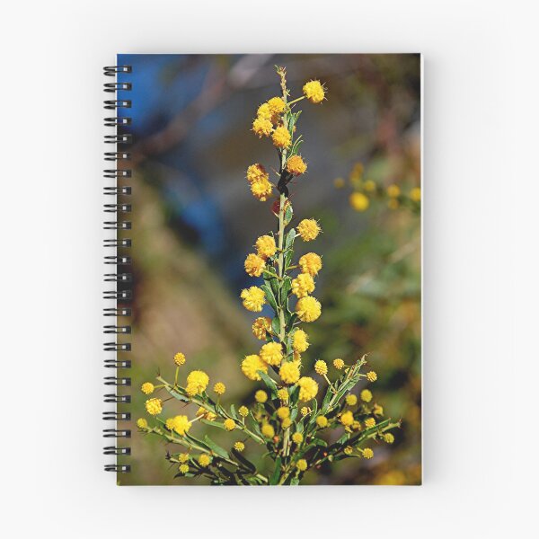 Item preview, Australian Wattle Flower designed and sold by patapping.