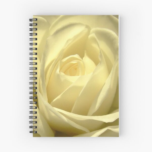 Aperçu de l'œuvre Classic White Iceberg Rose créée et vendue par HippyDi.