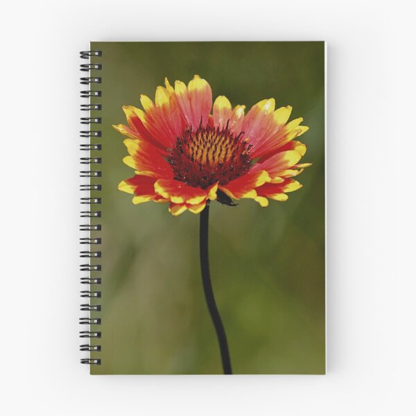 Item preview, Wild Flower  designed and sold by John Absher.