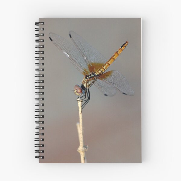 Item preview, Desert Dragonfly designed and sold by clarkdavidw.