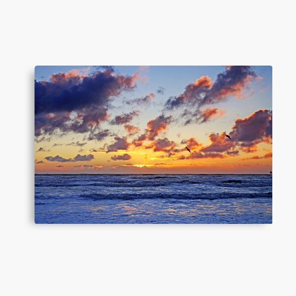 Three Fly in the Sunset Sky Canvas Print