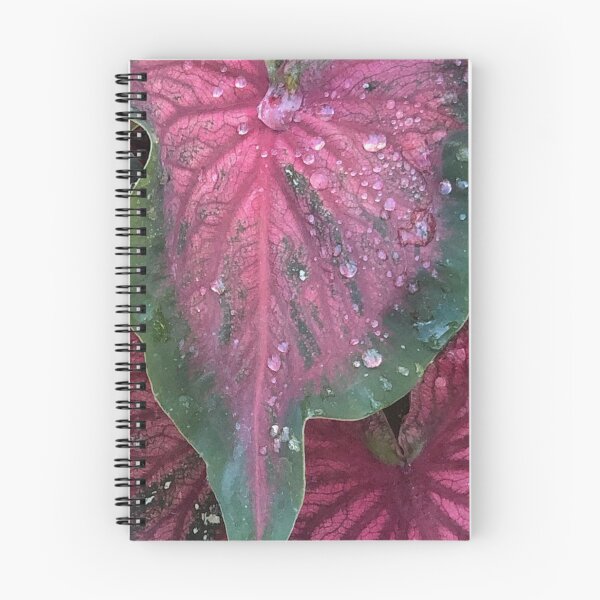 Item preview, Deep Pink Caladium Leaf with Water Droplets designed and sold by 2CrabbySisters.
