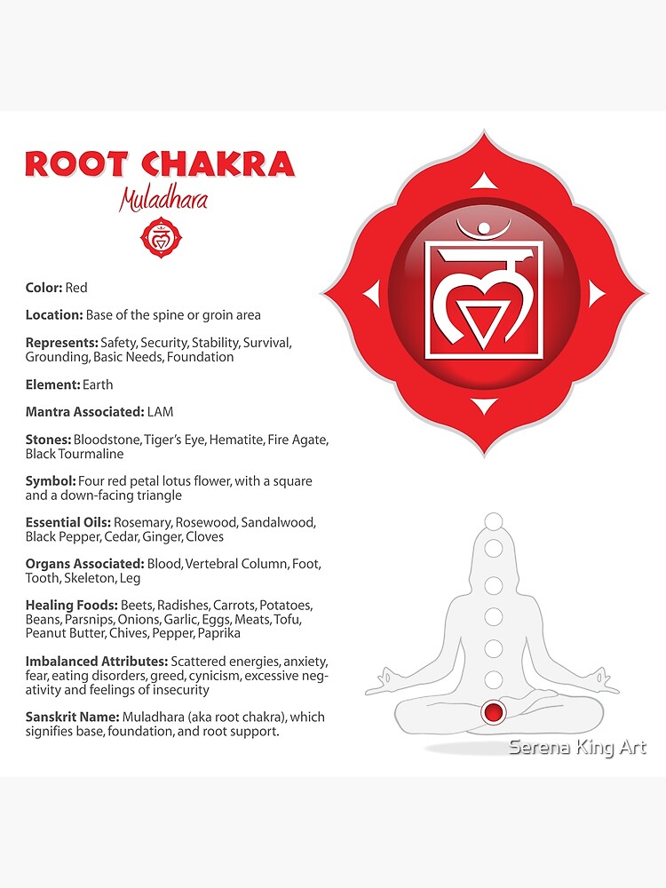Root Chakra Legging-Laka Pink