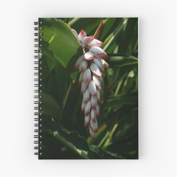 Item preview, Cascade designed and sold by Leesa Habener.