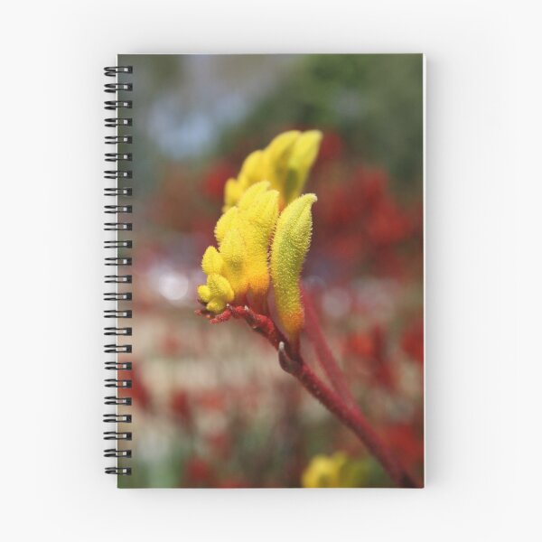 Item preview, Skippy designed and sold by Leesa Habener.
