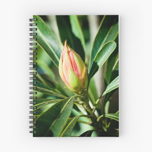 Item preview, New life - NSW Waratah designed and sold by Gayle Shaw.