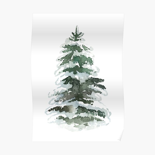 Snow covered evergreen tree Poster