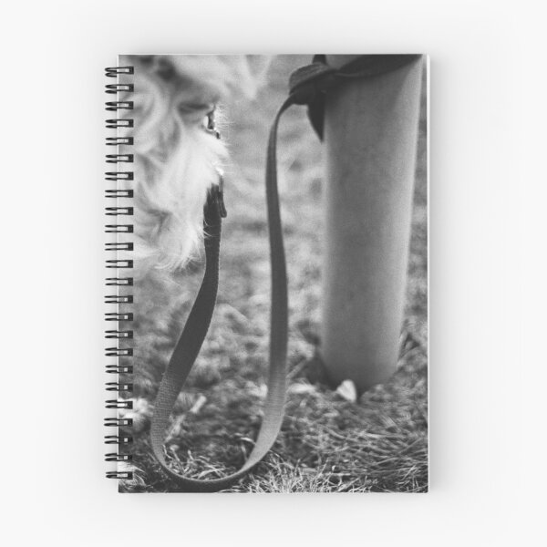 Item preview, The Wait designed and sold by Tamara  Kenneally.