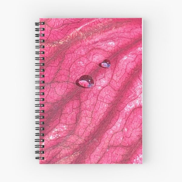 Item preview, Caladium with 2 Water Droplets designed and sold by 2CrabbySisters.