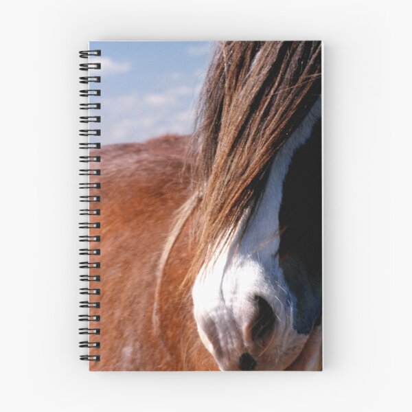 Item preview, Clydesdale designed and sold by Tamara  Kenneally.