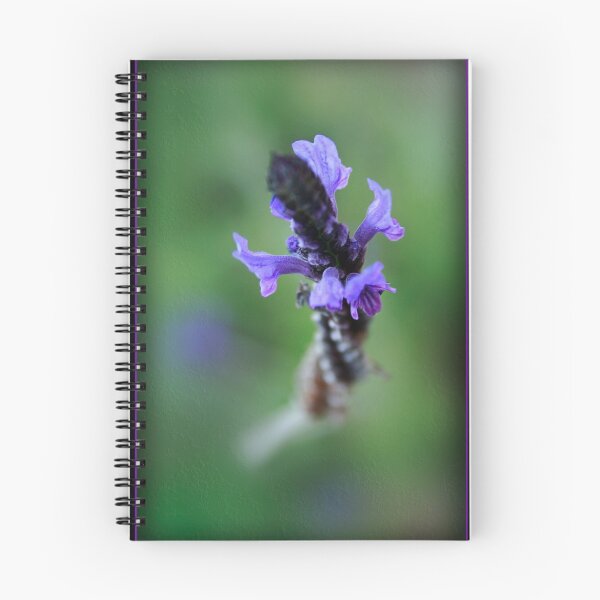 Artikelvorschau, Lovely Lavendar entworfen und verkauft von Megabyte.
