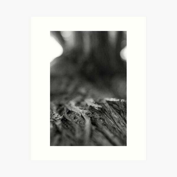 somthing in between. Art Print