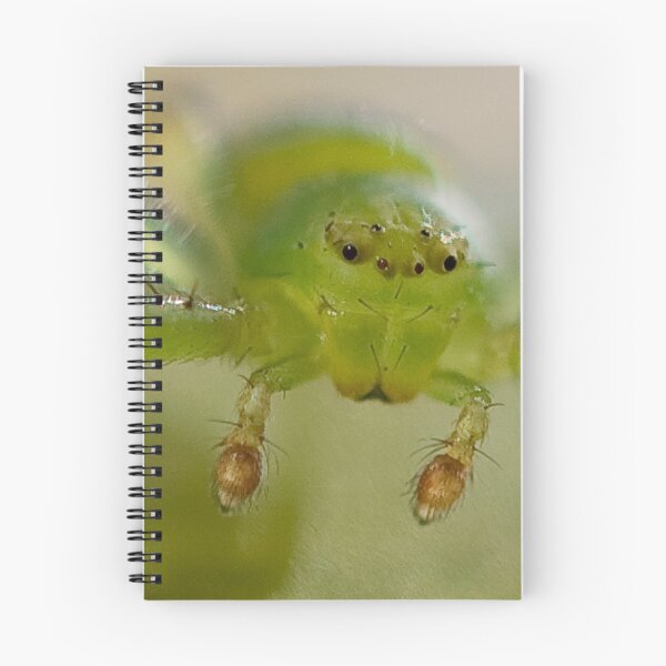 Item preview, Green Hunter designed and sold by Steve  Woodman.