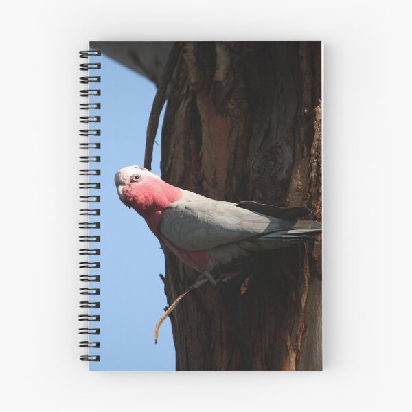 Item preview, Galah designed and sold by margotk.