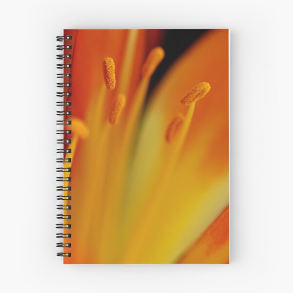 Item preview, Clivia Beauty designed and sold by Bev Woodman.