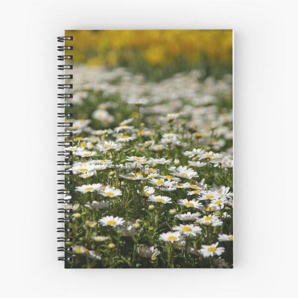 Aperçu de l'œuvre daisy delight créée et vendue par Michelle Larrea.